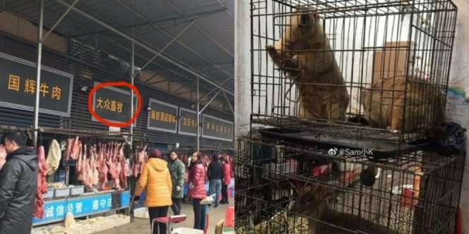 Sumber Awal Muncul Virus Corona, di Kota Ini Daging Hewan Apapun Dimakan