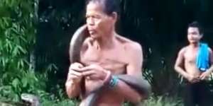 Terlalu Santai Usai Berkali-kali Digigit King Cobra, Pawang Ular di Kalbar Tewas