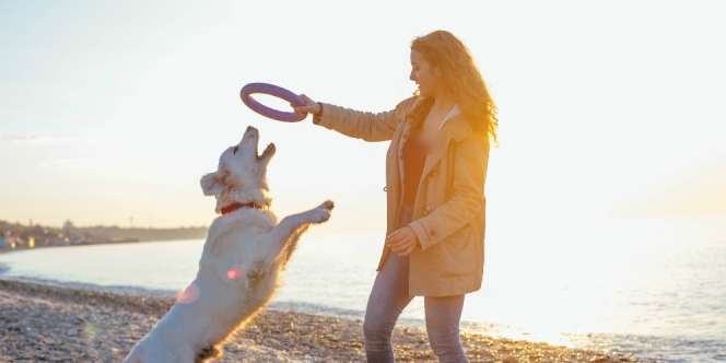 Idenya Dianggap Gila, Bisnis Wanita Ini Malah Sukses Mendunia
