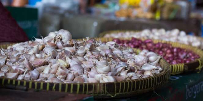 Potensi Tularkan Virus Corona, Impor Hewan dan Bawang Putih dari China Disetop