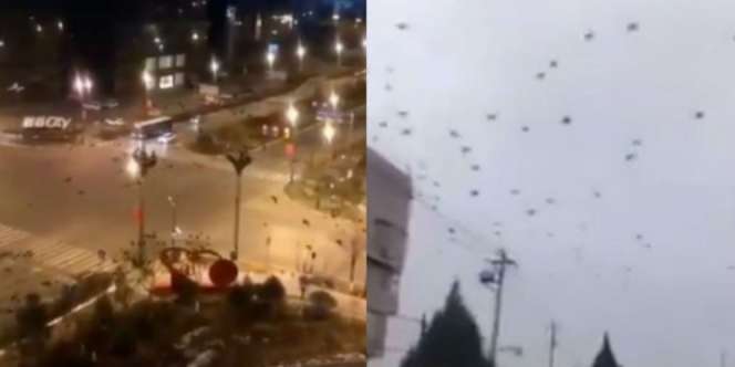 Viral Kumpulan Burung Gagak Penuhi Langit China, di Wuhan?
