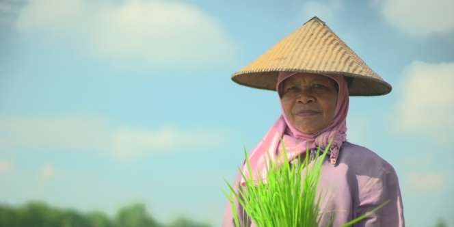 Subhanallah... Sehari Buruh Tani dan Bangunan Dapat Upah Segini