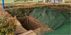 BCL Pesan Makam di Samping Ashraf Sinclair