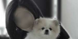 Ini Hasil Tes Anjing Milik Penderita Positif Corona