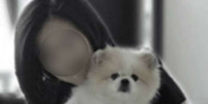 Ini Hasil Tes Anjing Milik Penderita Positif Corona