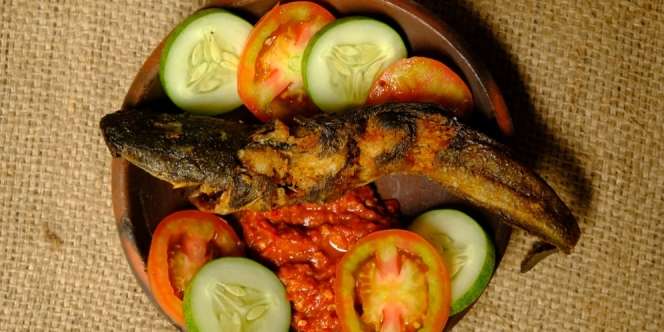Cara Membersihkan Lele Agar Tak Beraroma Amis