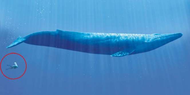 10 Foto Perbandingan Ini Ungkap Banyak Fakta yang Bikin Takjub