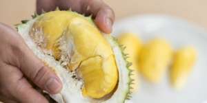Kulit Durian Bisa Buat Isi Ulang Mobil Listrik?