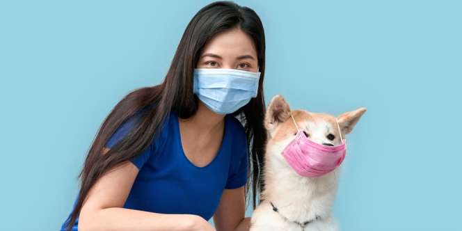 Wabah Corona, Warga Diimbau Tak Cium Anjing