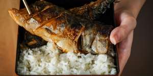 2 Hari Makan Ikan Buntal, Suami Istri dan Mertua di Banyuwangi Tewas Keracunan