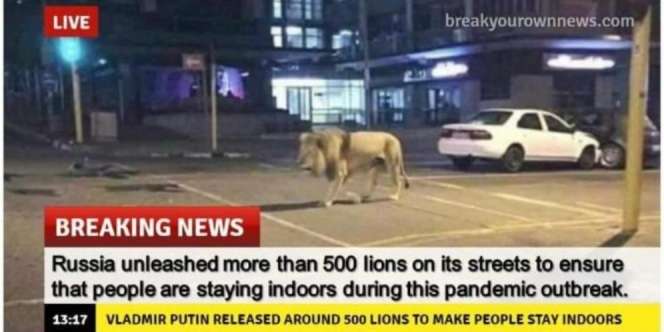 Vladimir Putin Lepas Singa Agar Warga Tinggal di Rumah? Ini Faktanya