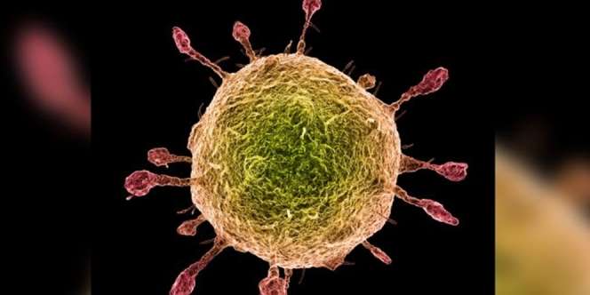 Serupa Tapi Tak Sama, Kenali Beda Flu Biasa dengan Virus Corona