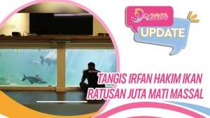 Cerita 31 Ikan Ratusan Juta Irfan Hakim Mati Massal