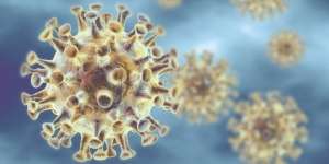 Gambaran Saat Virus Corona Menyerang Tubuh Manusia