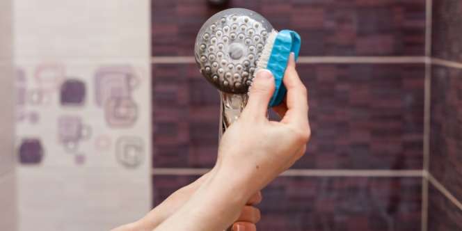 Demi Kesehatan, Jangan Lupa Bersihkan Kepala Shower