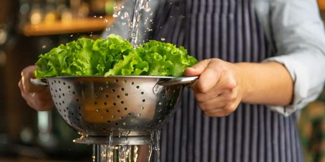 Selada Bisa Tahan 7 Hari Jika Disimpan dengan Benar