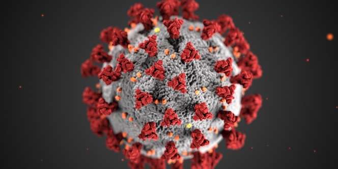 Inilah Penyebab Virus Corona Covid-19 Sangat Mudah Menyerang Sel Manusia