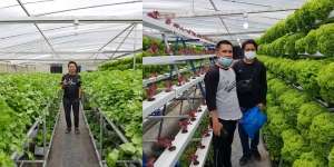 Tak Direstui karena Cuma Petani, Mantan Calon Mertua Menyesal