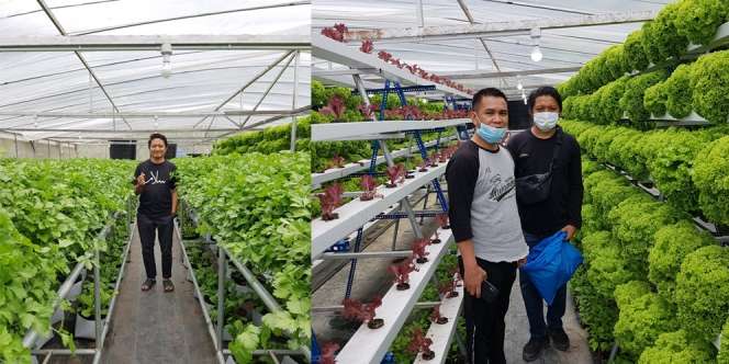 Tak Direstui karena Cuma Petani, Mantan Calon Mertua Menyesal