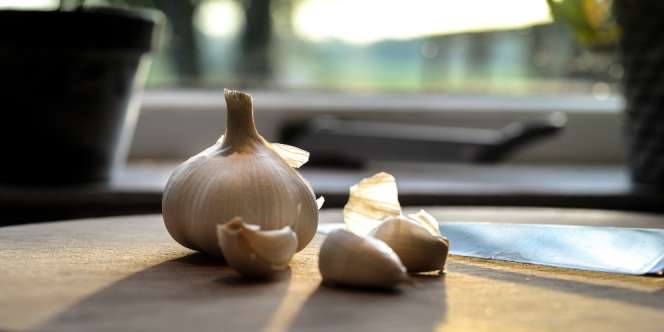 Manfaat Mengejutkan Bawang Putih Jika Rutin Dikonsumsi