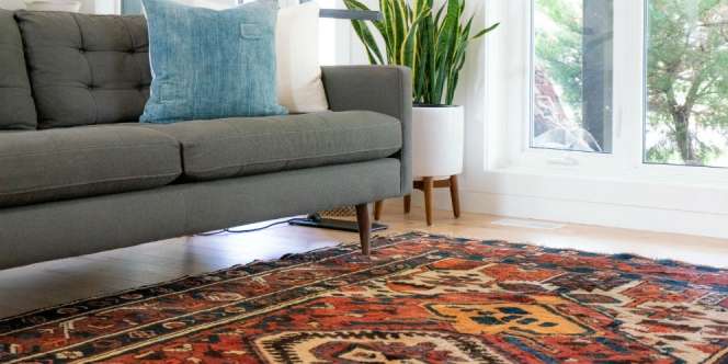 6 Langkah Agar Karpet Tak Jadi Sarang Kuman 