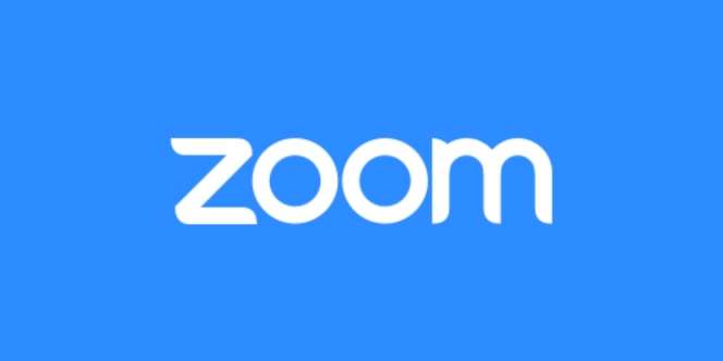 Sejumlah Negara Larang Warganya Pakai Zoom, Lihat Bahayanya!