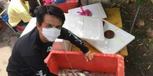 Iseng Foto Suami Bagikan Ikan di Sosmed, Tahunya Order Membludak