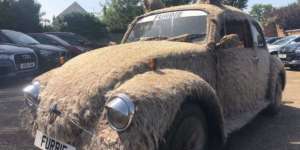 Dijual! VW Kodok Berbulu Harga Rp91 Juta, Berminat?