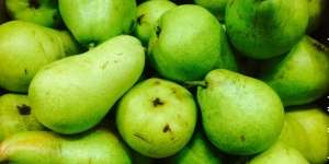 4 Manfaat Mengonsumsi Buah Pir untuk Kesehatan Tubuh