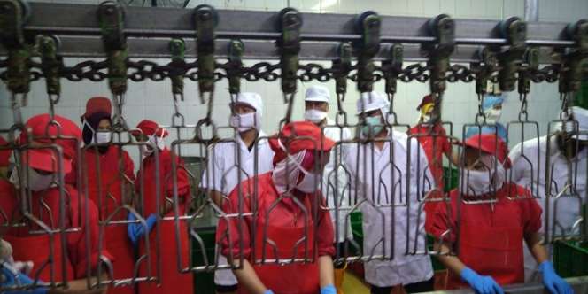 Strategi Jaga Pasokan Pangan Berprotein Hewani di Tengah Pandemi Corona