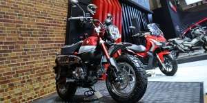Honda Bakal Bikin Motor Mini, Lebih Mungil dari Monkey