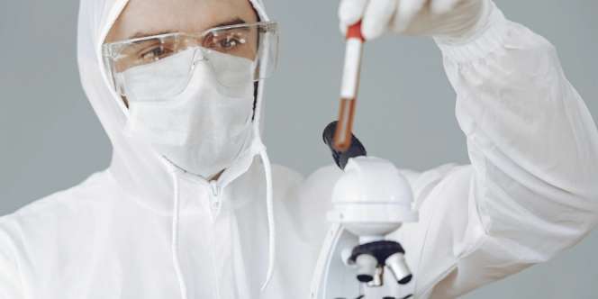 Kabar Baik! Disuntik Vaksin Covid-19, Monyet Percobaan Kebal Virus Corona