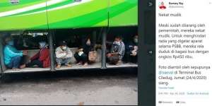 Viral Penumpang Sembunyi di Bagasi Bus, Pengusaha Angkat Bicara