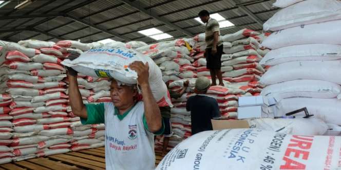 Naik 17,73%, Pupuk dari Indonesia Dipakai Afsel Sampai AS