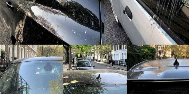 Produsen Mobil Pakai Cara Unik untuk Uji Cat Mobil