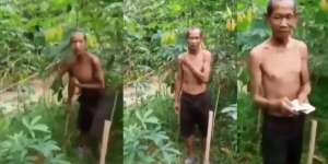 Video Viral Seorang Kakek Curi Singkong, Reaksi Pemilik Kebun Bikin Haru