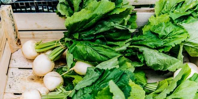 5 Rekomendasi Makanan Anti Lemak Jahat Setelah Lebaran, Cocok Buat Diet