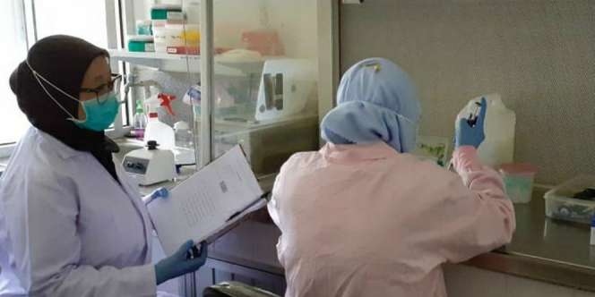 IPB University Luncurkan Software Covid Solver