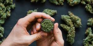 Ilmuwan Klaim Ganja Bisa Mencegah Pertumbuhan Virus Corona