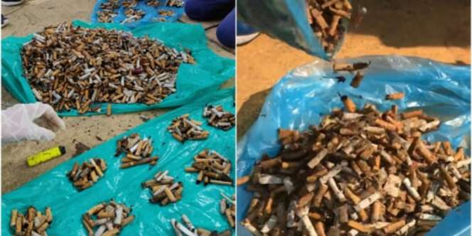 Yack! 2 Jam Bersihkan Jalanan Temukan 4500 Puntung Rokok dan 202 Kg Sampah
