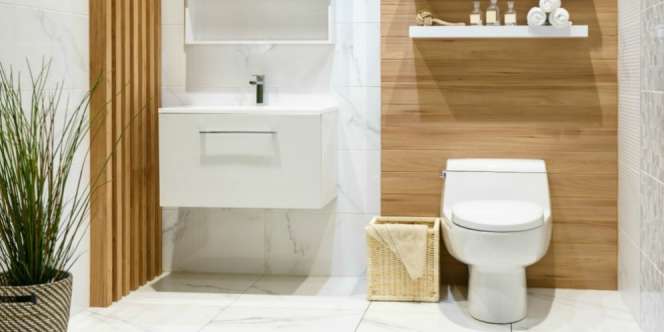 Biarkan Toilet Terbuka Bisa Cegah Penularan Corona?