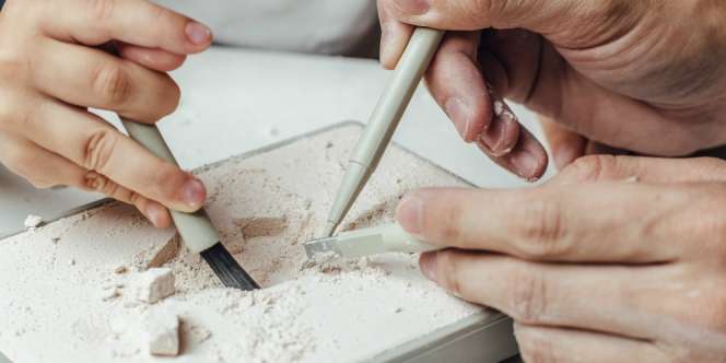 Permainan Mencari Fosil, Bisa Bikin Sendiri di Rumah