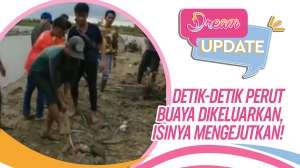 Detik-detik Potongan Tubuh Wanita Dikeluarkan dari Perut Buaya