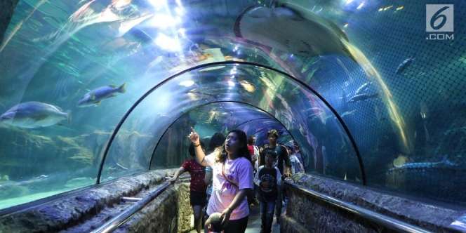 Ancol Mulai Dibuka Besok, Pengunjung Hanya yang Ber-KTP DKI Jakarta