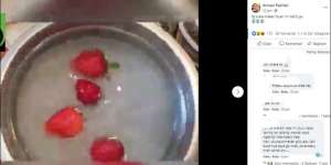 Viral Serangga & Cacing Keluar dari Stroberi yang Direndam Air Garam, Faktanya