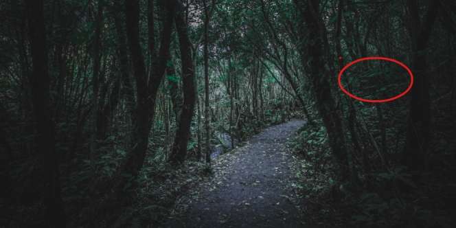 Geger Makhluk Misterius Pengisap Darah di Sumut, Korban Bergelimpangan