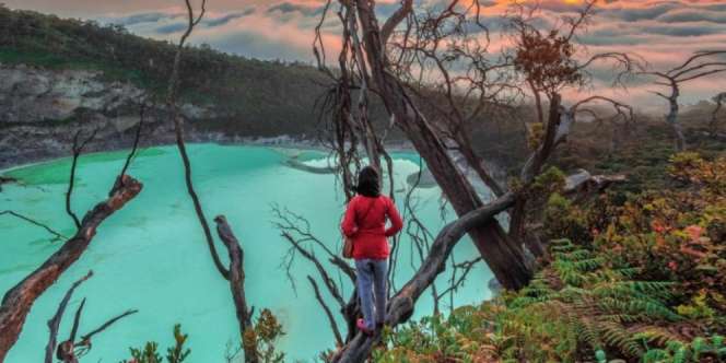 38 Destinasi Wisata Alam Perhutani Kembali Dibuka