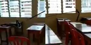 Sekolah 3 Bulan Libur, Petugas Temukan King Kobra Bersarang di Laci Murid