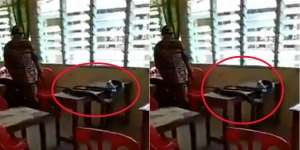 Ditinggal Libur 3 Bulan, Laci Bangku Kelas Jadi Sarang King Cobra Raksasa