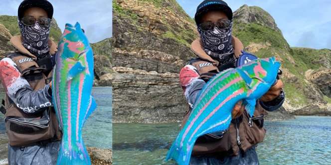 Nyata! Pemancing Tangkap Ikan Berwarna Mencolok Seperti Baru Dicat